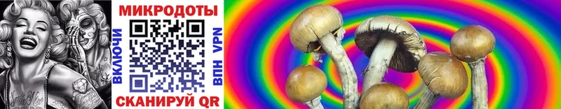 Псилоцибиновые грибы GOLDEN TEACHER  МЕГА рабочий сайт  Верхоянск 